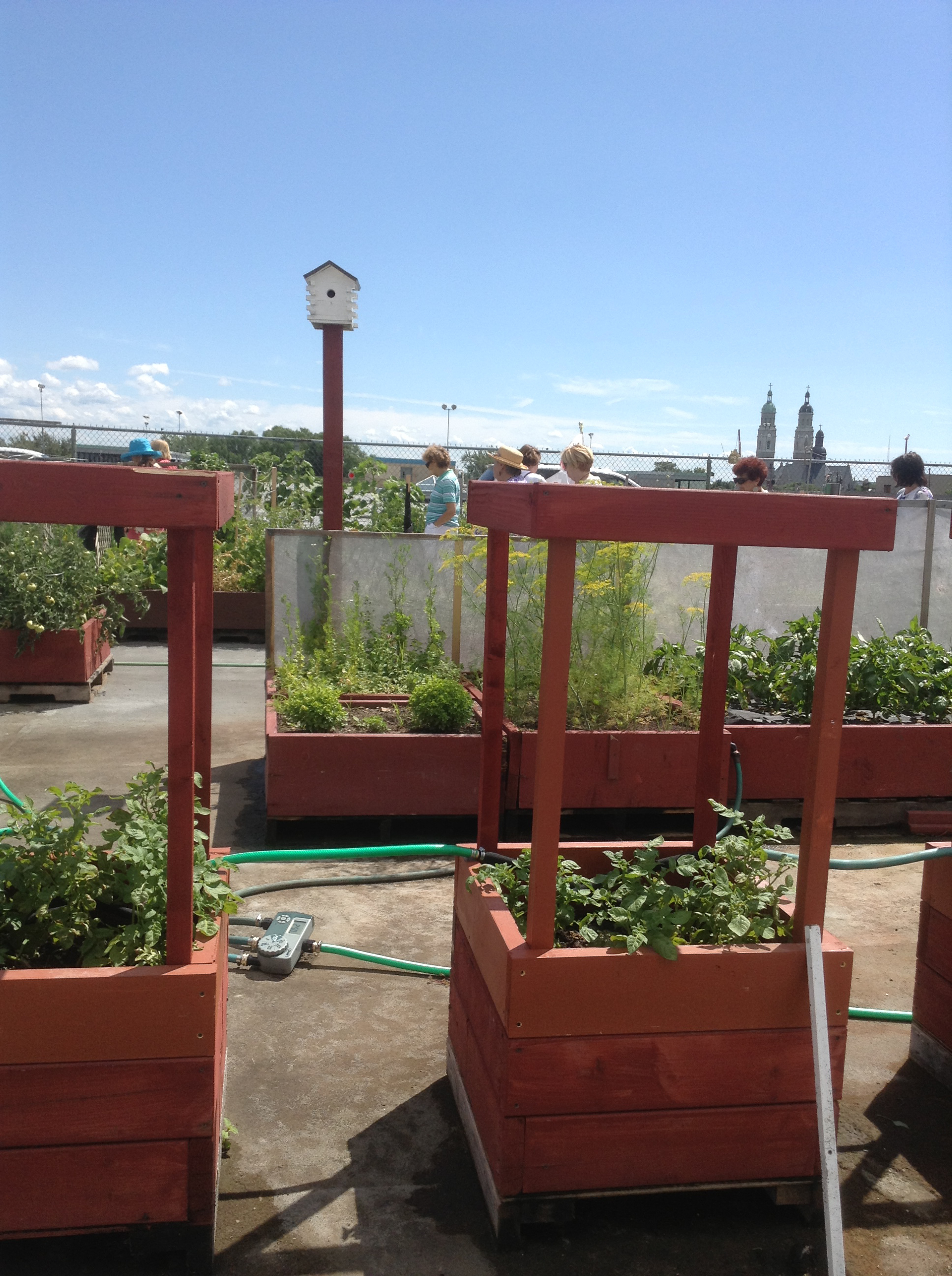 Potato Growing Bins